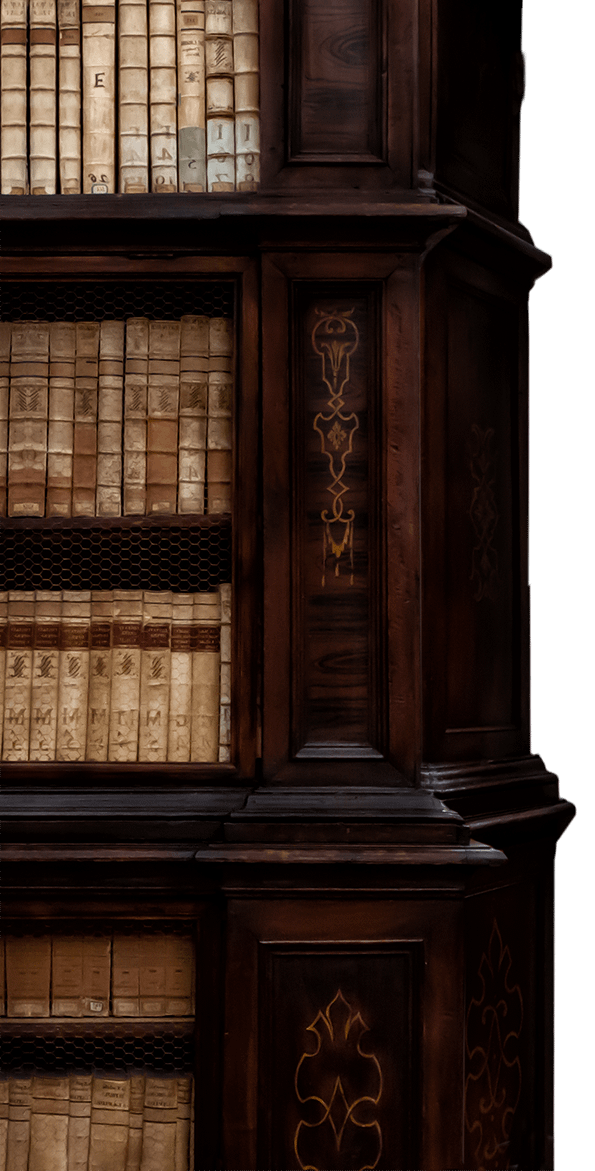 biblioteca seconda parete sx